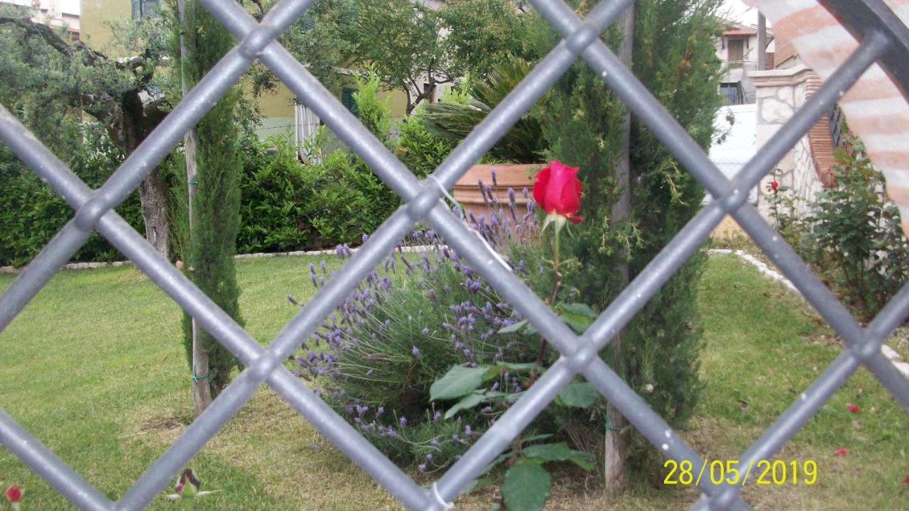 Bed and Breakfast Il Giardino Degli Ulivi Каннето Экстерьер фото