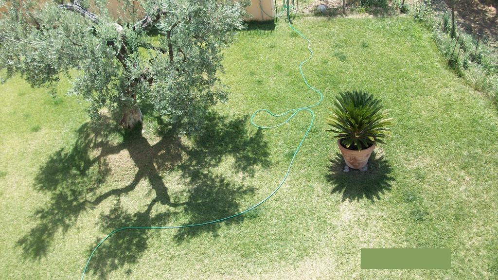 Bed and Breakfast Il Giardino Degli Ulivi Каннето Экстерьер фото
