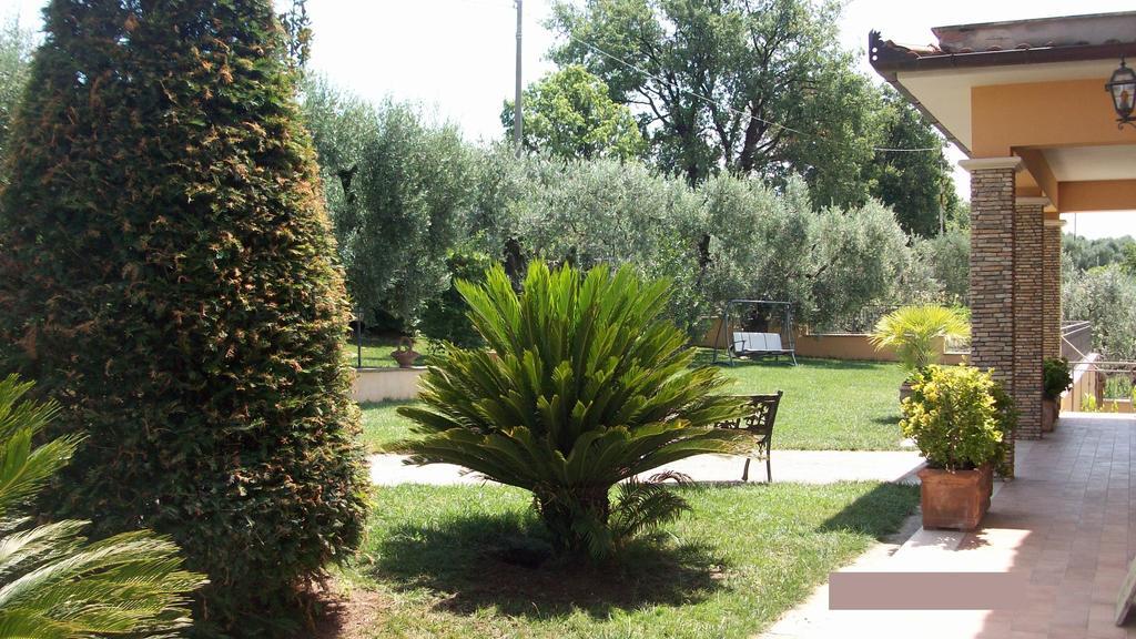 Bed and Breakfast Il Giardino Degli Ulivi Каннето Экстерьер фото